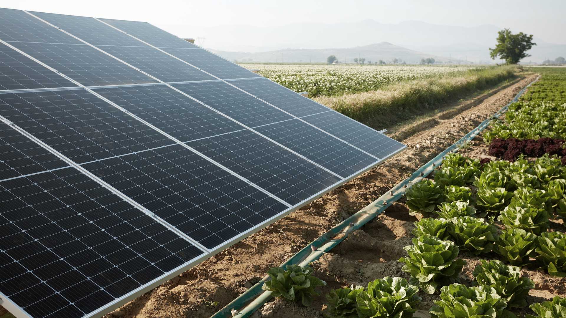 Photovoltaikanlage auf Feld mit blauem Himmel und Wolken